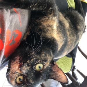 Meet your Posher, Danielle